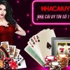 kèo tài xỉu việt nam Yo88